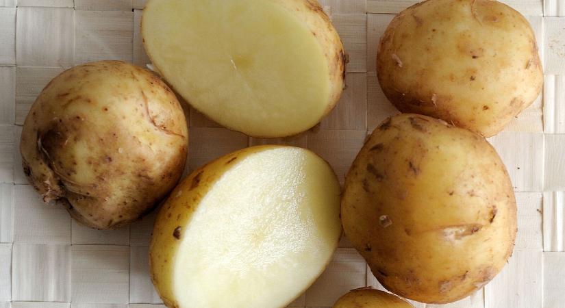 Csodaszerek másnaposság ellen - gondoltad volna, hogy a krumpli erre is jó?