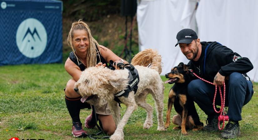 Sztárok és külföldi indulók is futnak a Hard Dog Race-en