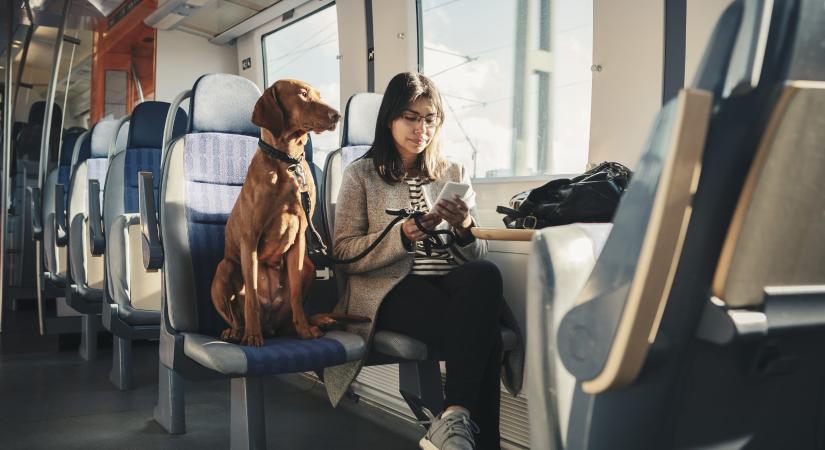 Nagytestű kutyákkal indít kísérleti programot a spanyol vasút