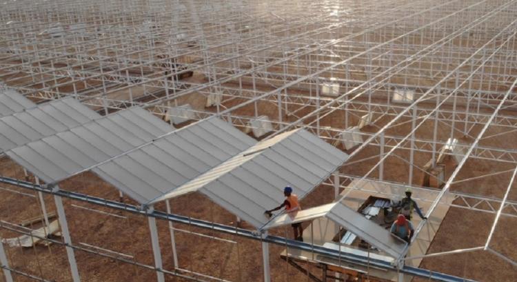 Üvegháztenger épül az arab sivatagban