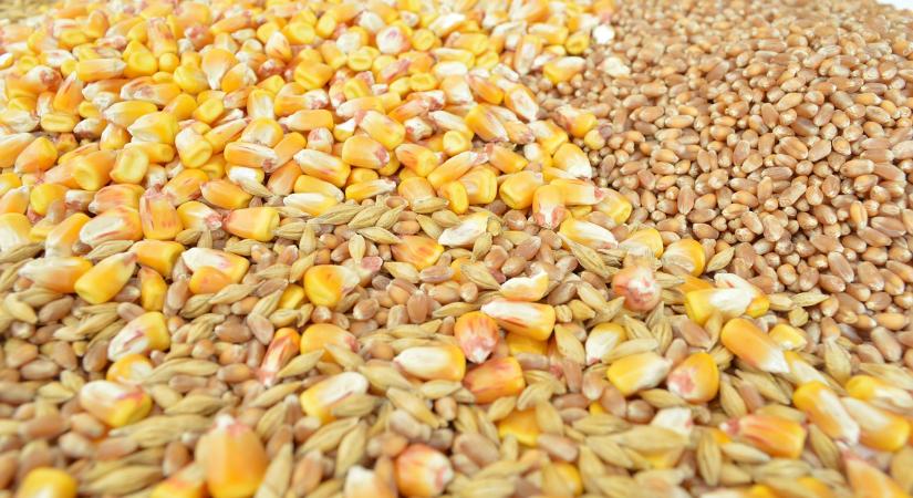 43 százalékos mínuszban az ukrán gabonaexport