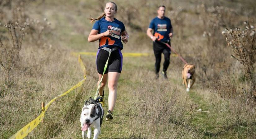 Sztárok és külföldi indulók is futnak a szombati Hard Dog Race-en