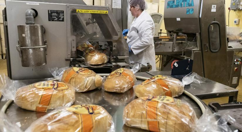 Nincs megállás: októberben még tovább drágulhat a kenyér