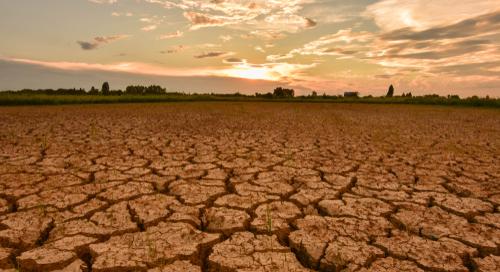 Agrometeorológia: Európában a nyári szárazság miatt alacsonyabb terméshozamok várhatók