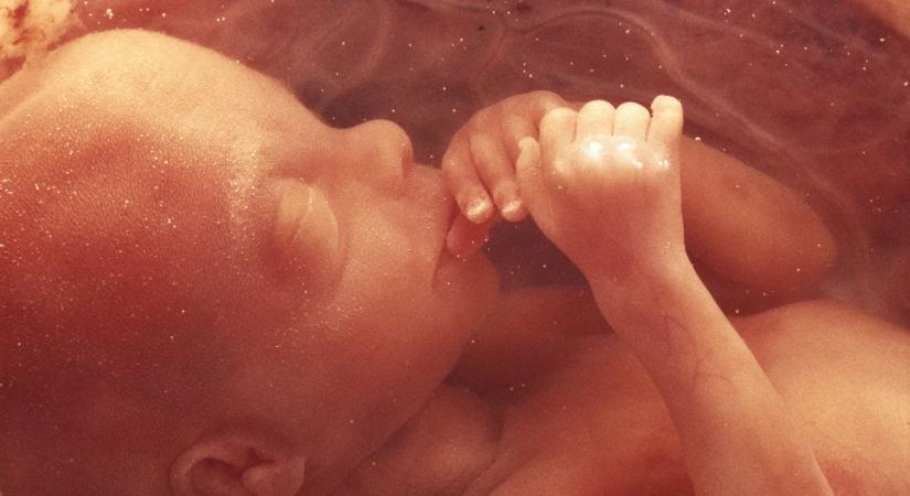 A tudósok szerint a babák érezik a szagokat és az ízeket az anyaméhben