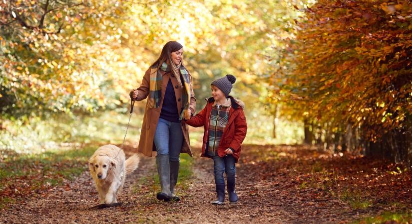 Egészséges életmód: 51 ok, amiért megéri még ősszel is sétálni