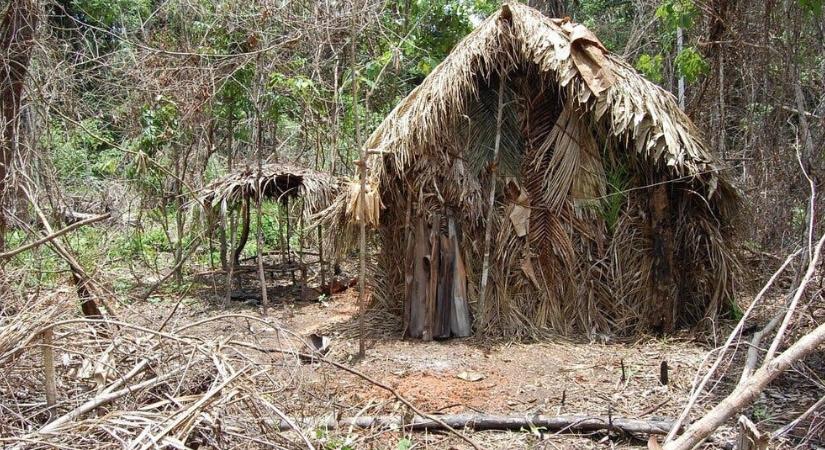 Egy őslakos halálával törzse lett a brazil történelem első igazoltan kihalt embercsoportja
