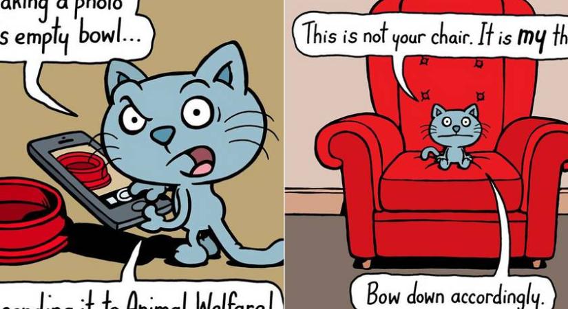 Mit mondanának a macskák, ha beszélni tudnának? Vicces rajzokon mutatja meg a férfi