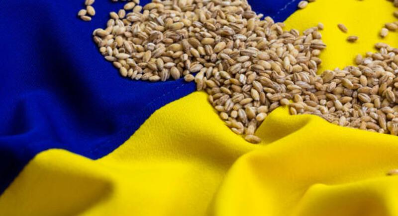 Ukrajna idei gabonatermése jócskán elmarad a tavalyitól
