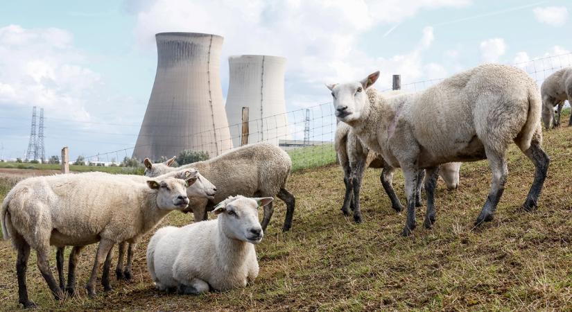 Belgium az energiaválság közepén állítja le az atomreaktorokat