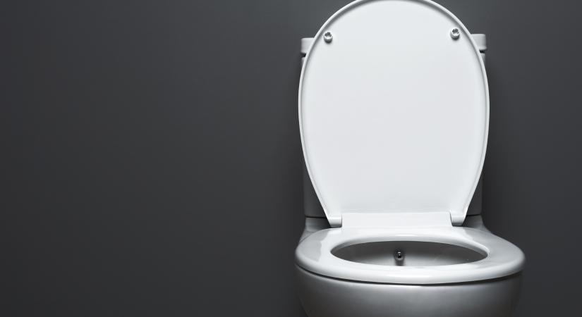 Bill Gates felhívására forradalmasította a vécé működési elvét a Samsung