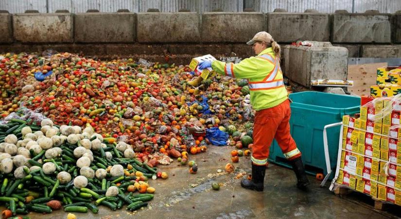 Évente 300 ezer tonna még menthető élelmiszer végzi a kukában Magyarországon