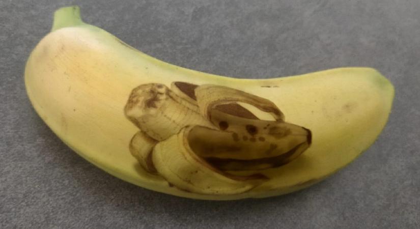 Rossz hír: egy gombafaj eltüntetheti a banánt a föld színéről