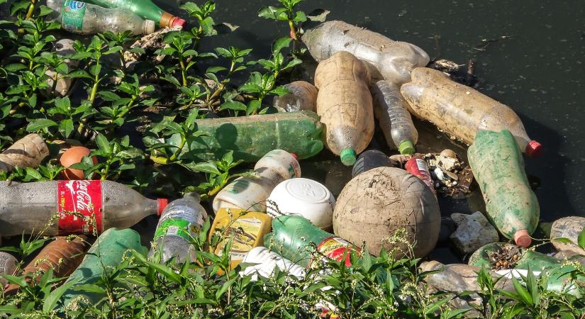 Nagyon sok hulladékot gyűjtöttek be a Tisza ukrajnai forrásvidékén az iszonyatosan sokból