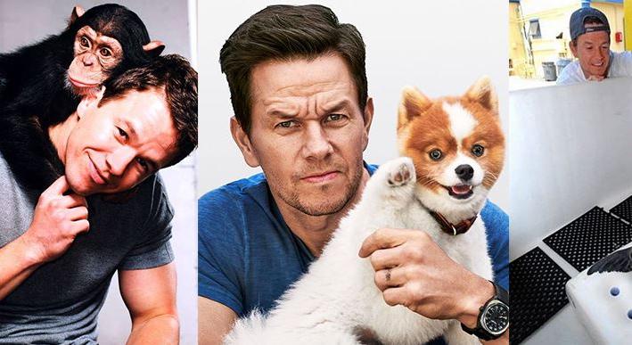 Mark Wahlberg megdöbbentően sokat beszélgetett állatokkal a filmjeiben