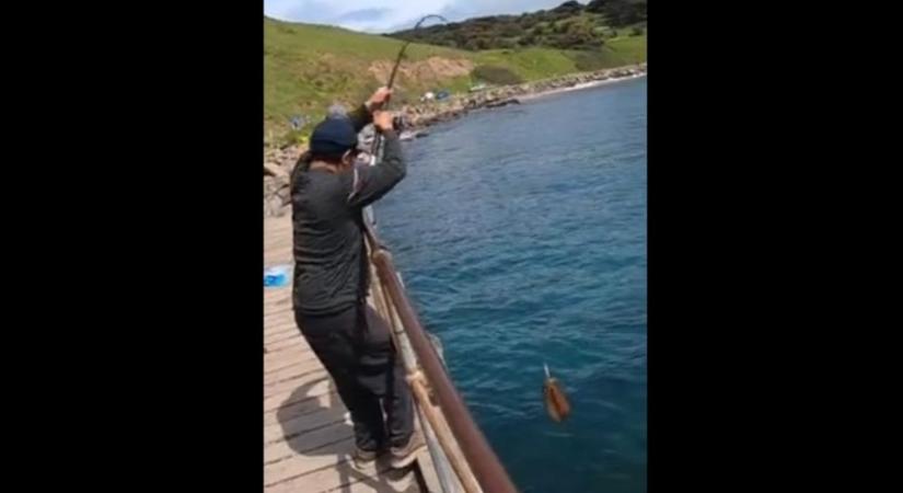 Megtréfált egy bámészkodót a horgász zsákmánya - videó