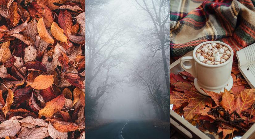 Az elmúlás illatai – Az ősz aromái az emlékeinkbe és a szívünkbe is behatolnak