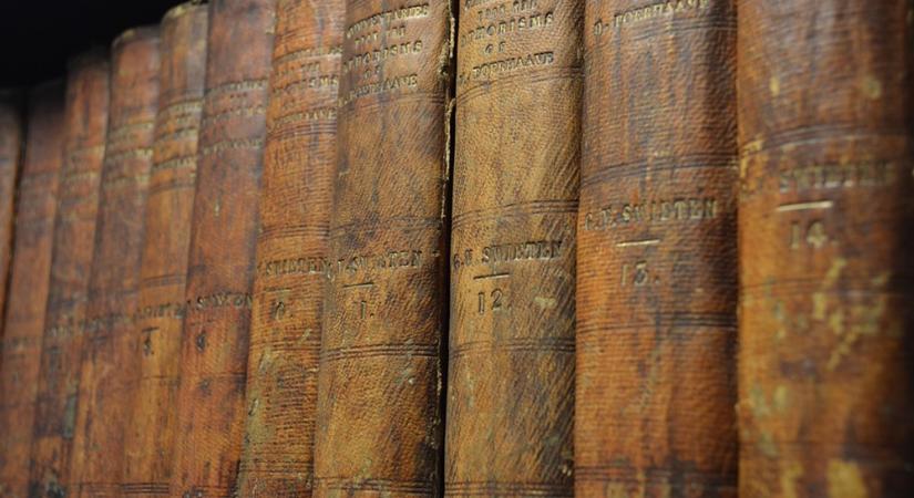 Xylotéka: egy fura könyvtár, ahol fakönyveket őriznek