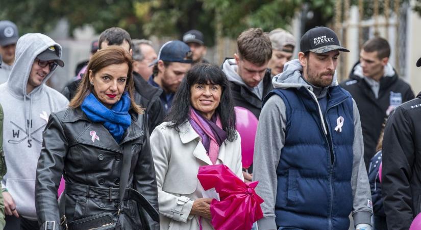 Mellrák elleni séta Fehérváron - fontos a támogatás és a megelőzés (galéria)