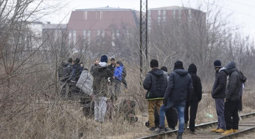 A magyar határhoz közel lőttek egymásra a migránsok a szabadkai erdőben