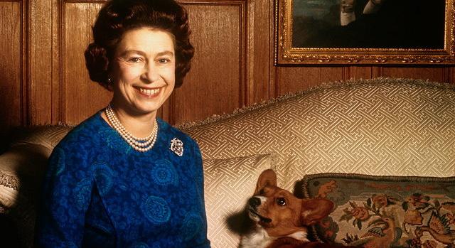 II. Erzsébet kutyái jobban étkeztek, mint a legtöbb ember