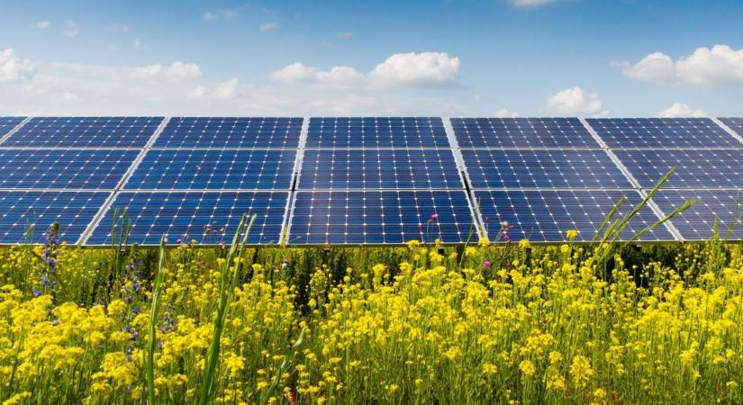Ezek a napelemek forradalmasíthatják a kertészetek működését