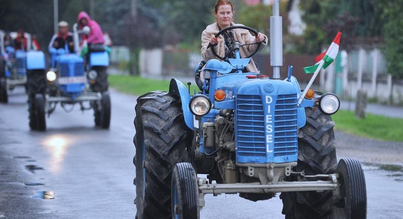 Lányok és asszonyok is traktorra ültek a fehértói szüreti menetben – galériával