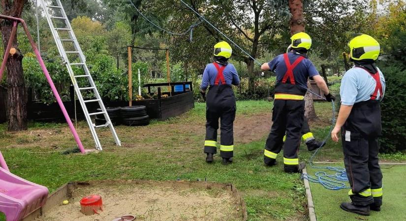Hatalmas fákkal bántak el Tatabányán a 4x4-es terepjárósok, hogy másban ne essen kár