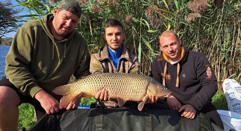 Tizennyolc kilós volt a legnagyobb fogás a Csaba-tavi egyhetes bojlis horgászversenyen
