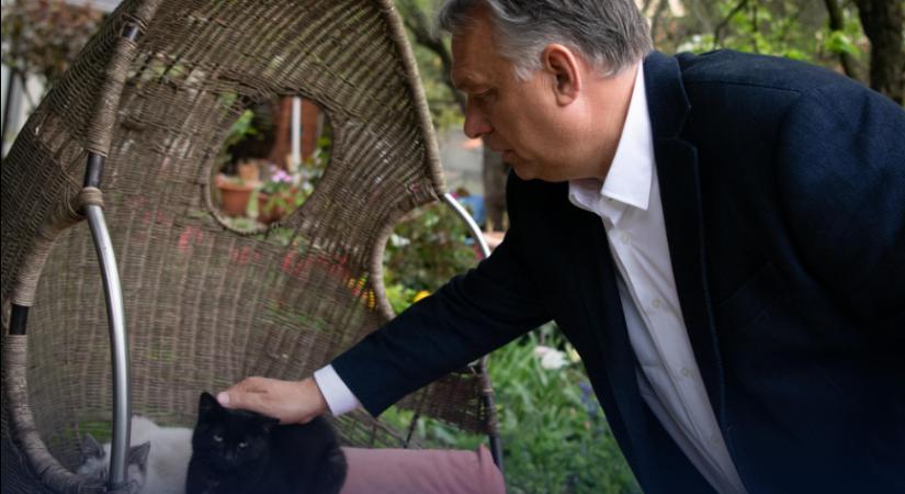 Orbán Viktor is megemlékezett az állatok világnapjáról