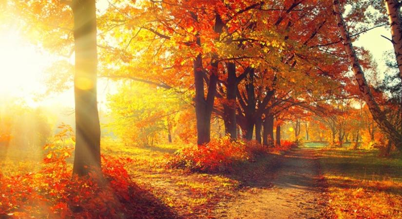Csodás őszi időt ígér a szerda: mutatjuk, miért érdemes a természetben töltened a mai napot
