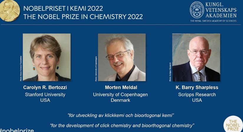 Molekulaépítők kapták a kémiai Nobel-díjat
