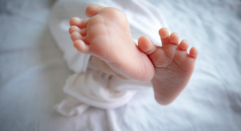 Újszülöttet találtak a békéscsabai kórház inkubátorában