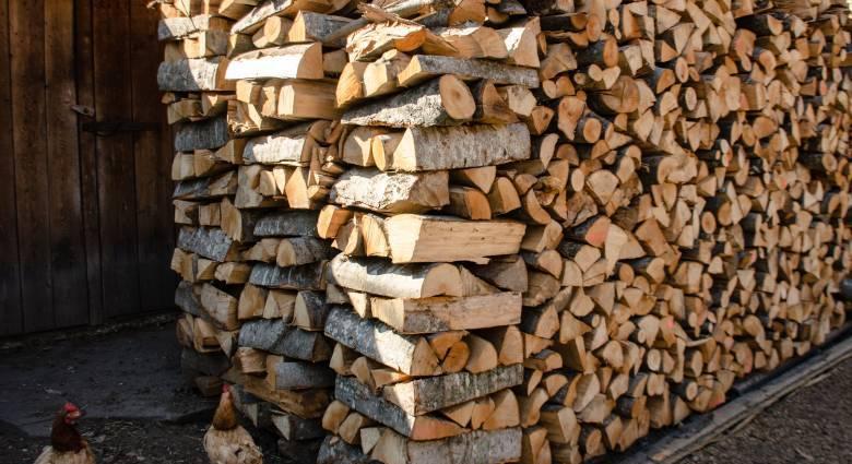 Korlátozzák a fűtésre használt fa árát a téli időszakra