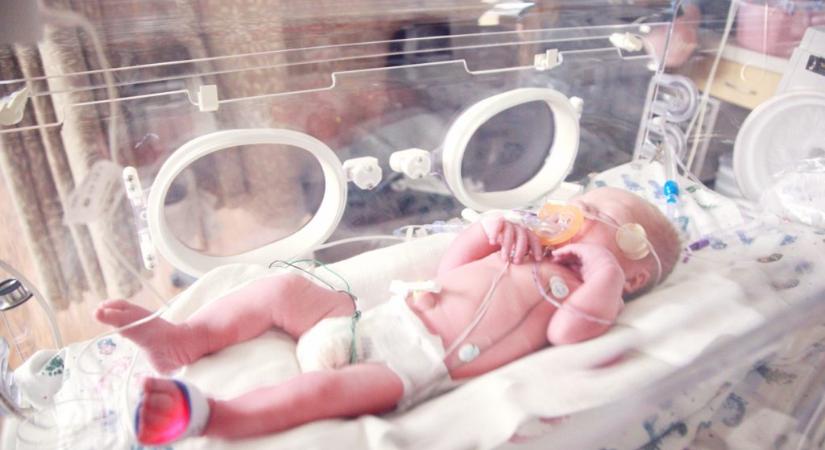 Újszülöttet találtak a békéscsabai kórház babamentő inkubátorában