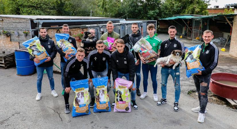 Hali-futballisták az állatokért - Az Állatok Világnapjának alkalmából adományokkal segítették az állatmenhelyeket - fotók