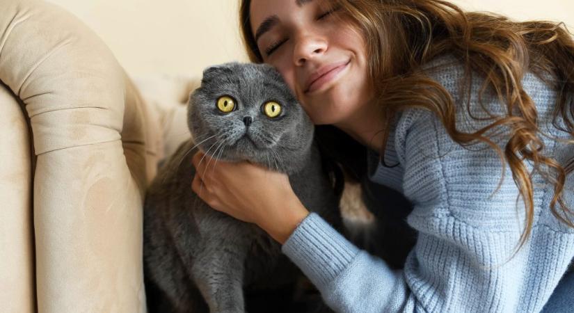 Öt jel, ami elárulja, hogy a macskád megcsal-e téged