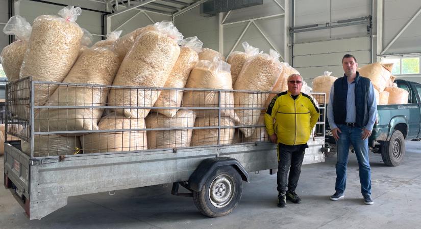 Egy tonna faforgácsot kaptak a vásárhelyi állatvédők