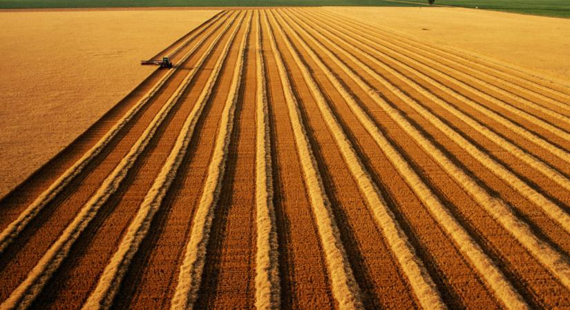 Komoly változások jönnek a magyar agráriumban: erre fel kell készülnie a gazdáknak