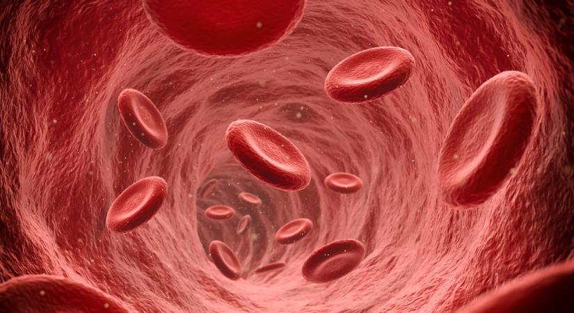 A tudósok rábukkantak egy újabb vércsoportra