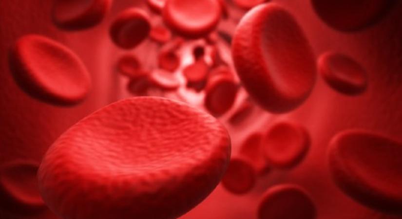 Évtizedes rejtélyt oldott meg egy új vércsoportrendszer felfedezése