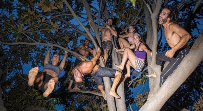 Közparkokban oktatja, hogyan kell fára mászni Barcelona Tarzanja