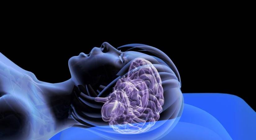 Meglepő, mi történik az agyban, amikor egy jó nagyot alszol: nem csak szellemileg pihen
