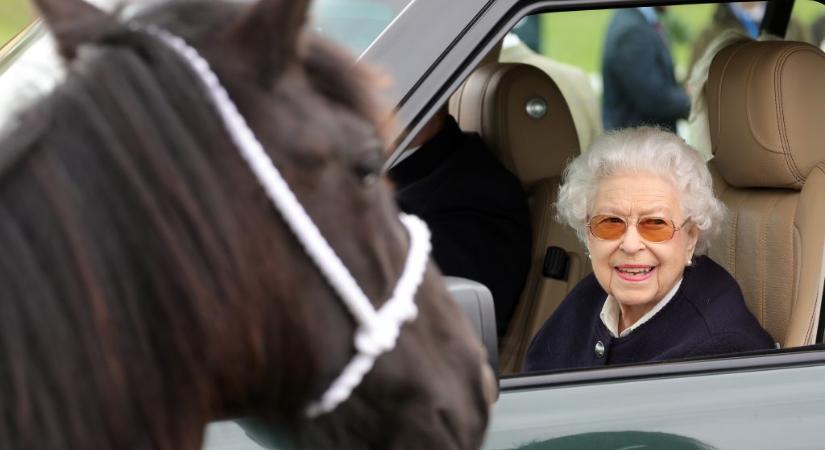 A brit királyi palotától mindenkit megnyugtattak: II. Erzsébet pónijáról továbbra is gondoskodnak