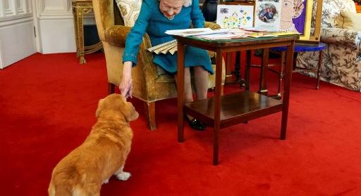 Sokan ledöbbentek, de így élnek most II. Erzsébet királynő kutyái