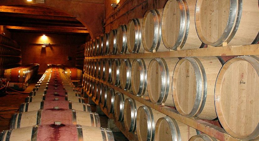 Az új bortörvény és a borpromóciós program segíti a szőlő- és bortermelőket