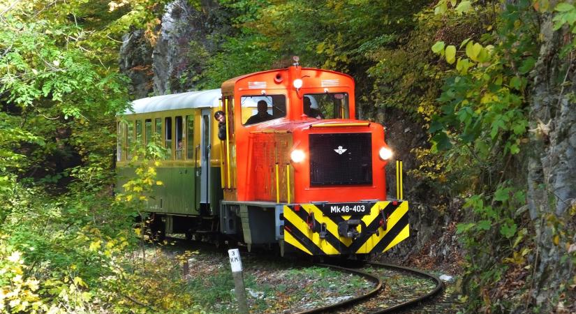 Erdőszippantás és vonatfütty- kisvonatos kirándulóhelyek Magyarországon