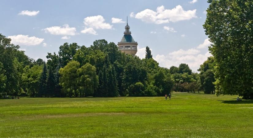 Bevezetné a főváros a Tiborcz-adót - a Margitszigeten