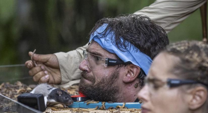 Celeb vagyok, ments ki innen! Ez valami brutálisan kemény volt (videó)