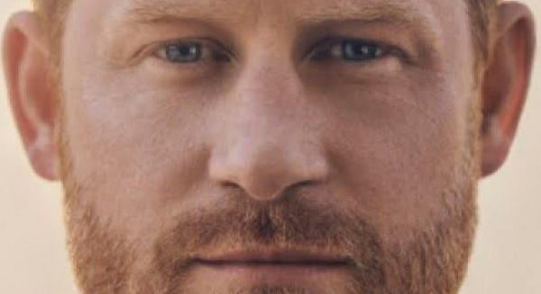 Henrik sussexi herceg: A TARTALÉK